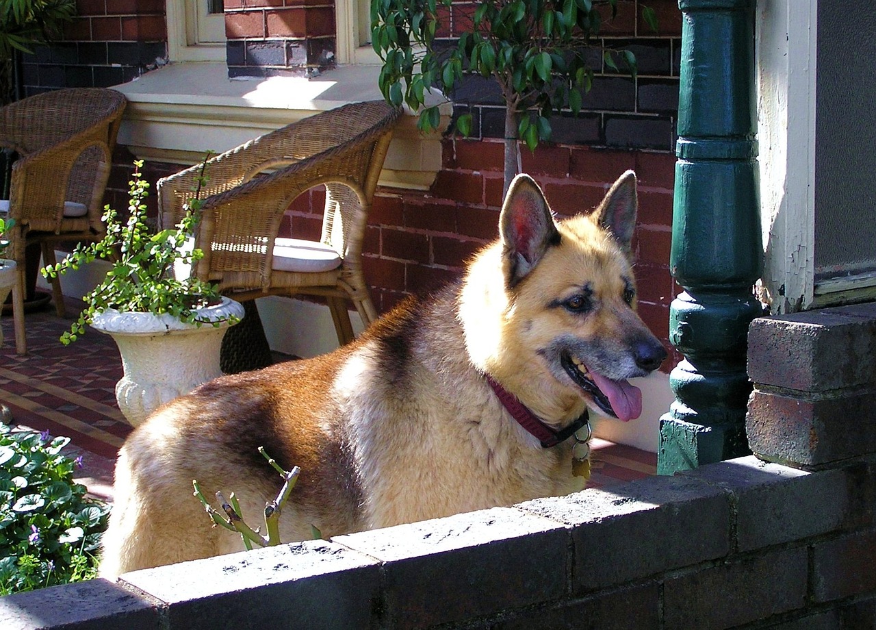 濟(jì)陽金湖國際最新動態(tài)探析與觀察