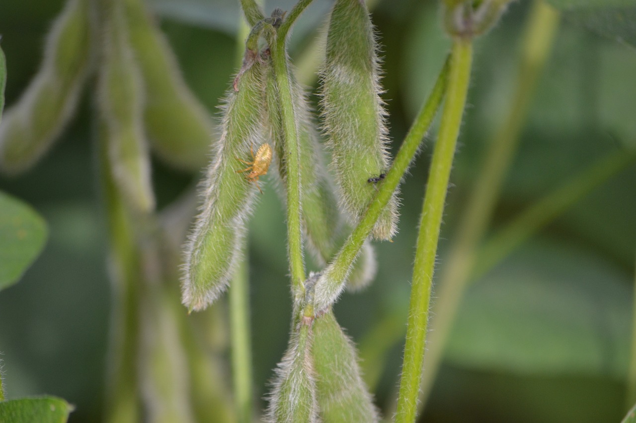 曾仕強(qiáng)最新動態(tài)，文化、教育與領(lǐng)導(dǎo)力領(lǐng)域的卓越貢獻(xiàn)探索