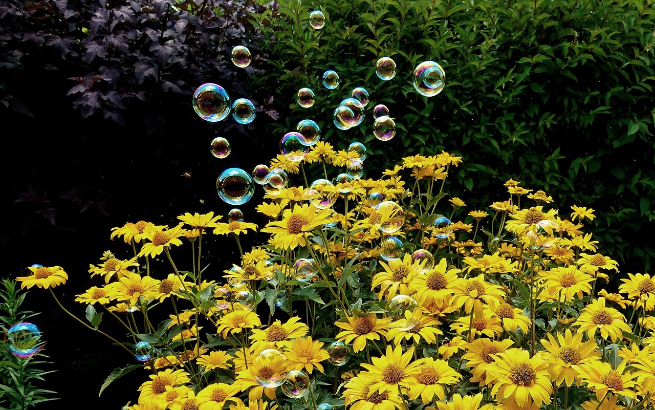 興義地區(qū)最新傳單招聘動態(tài)解析及招聘信息發(fā)布