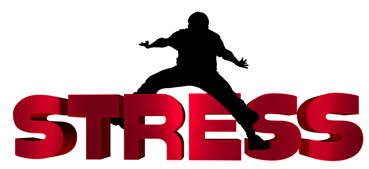 上海安保招聘最新信息，專業(yè)保障與職業(yè)發(fā)展的新機遇