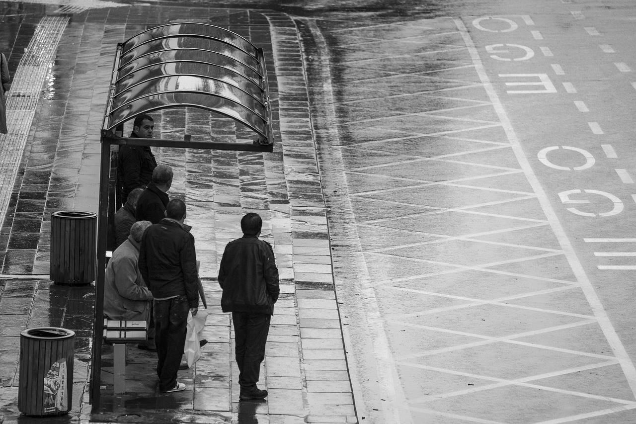 南海最新動態(tài)，探索、發(fā)展與環(huán)境保護的協(xié)同進步之路