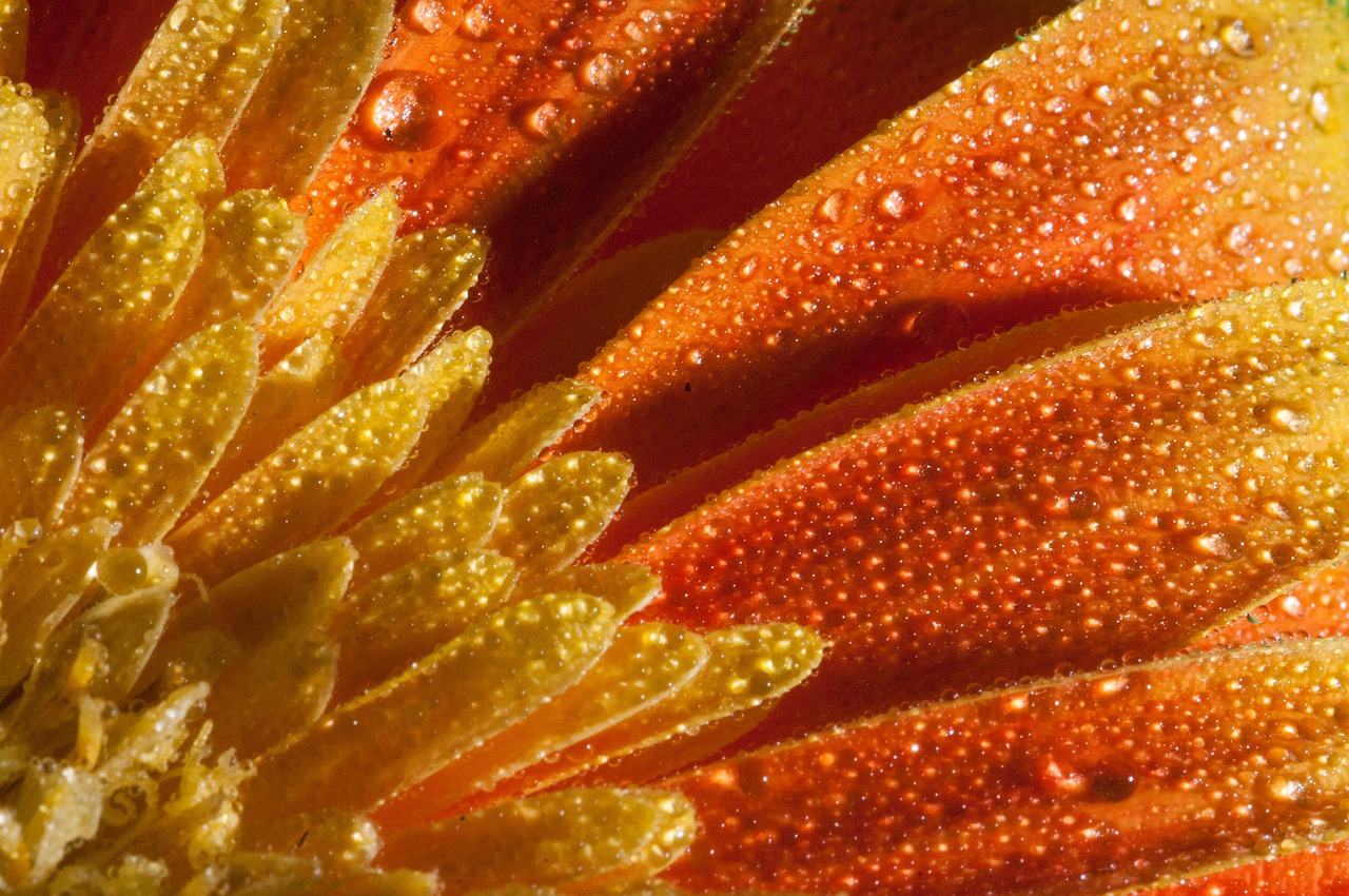 恒溫恒濕箱最新報(bào)價(jià)與市場(chǎng)動(dòng)態(tài)分析概覽