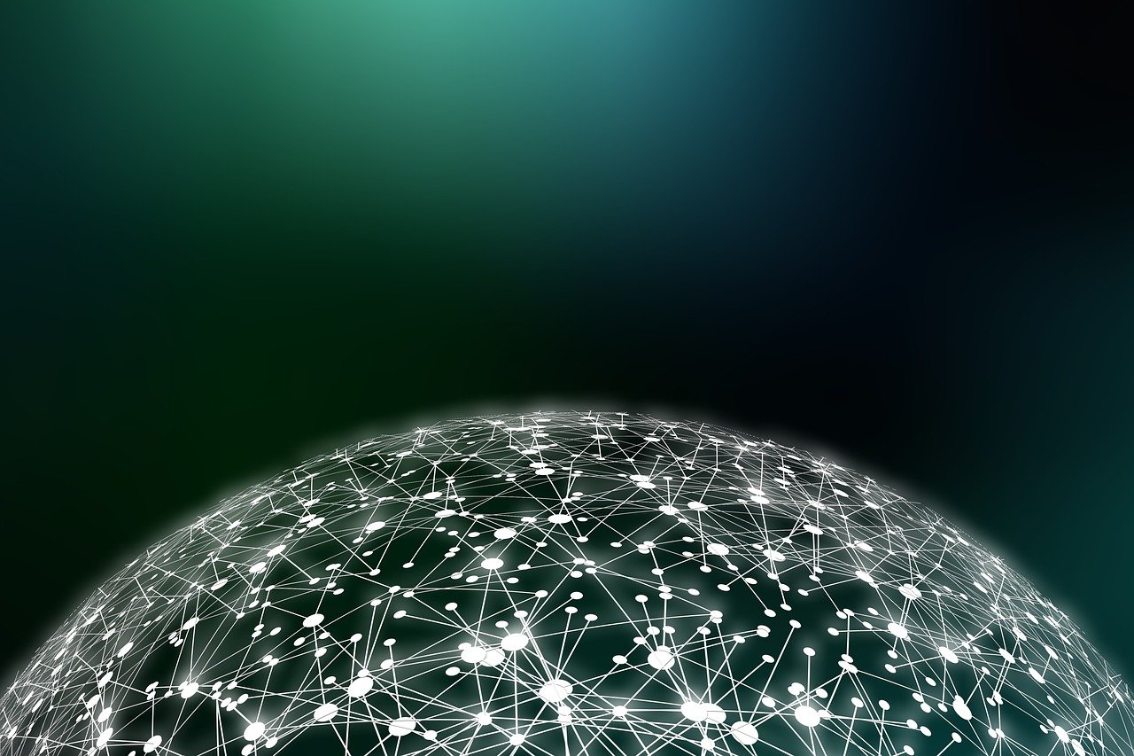 樹化石交易最新價格概覽與動態(tài)分析