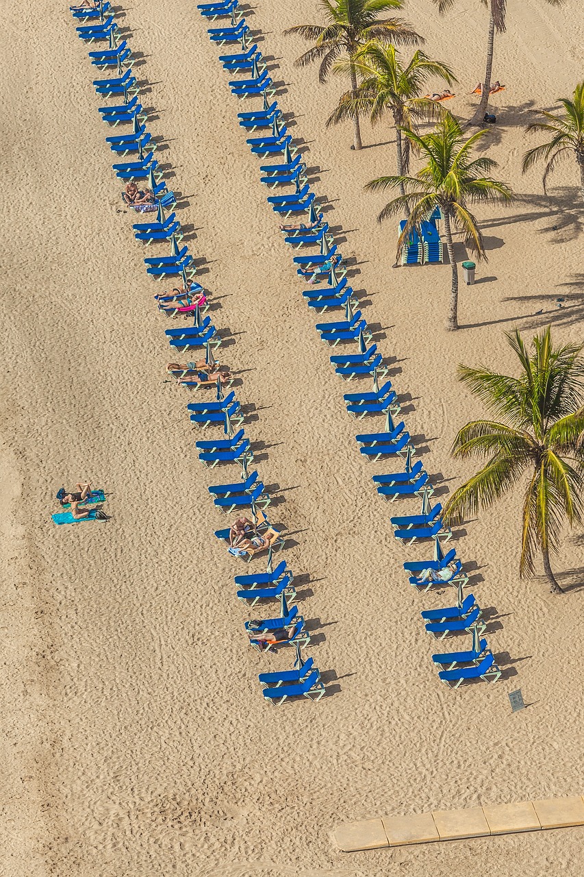 此夜此月 第24頁