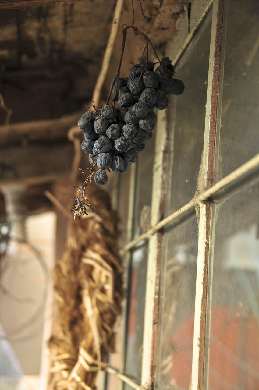 鵬欣資源最新消息，企業(yè)動態(tài)與行業(yè)展望引爆市場熱議