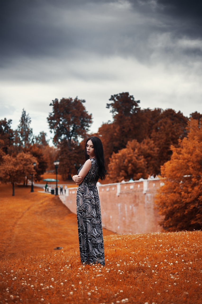 商丘商都公園最新動態(tài)，生態(tài)繁榮與文化交匯的繁榮地