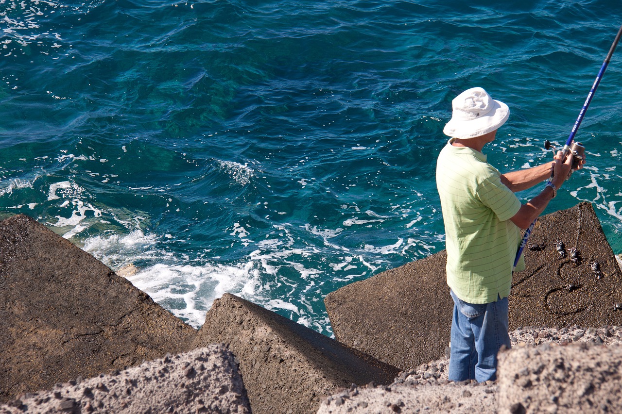 蕪黃高速最新動(dòng)態(tài)，建設(shè)進(jìn)展、規(guī)劃細(xì)節(jié)及社會(huì)價(jià)值分析