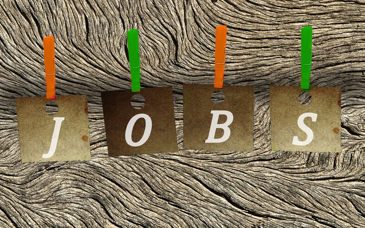 臨潼最新招聘動態(tài)，6小時內(nèi)的職業(yè)機會探索與探索