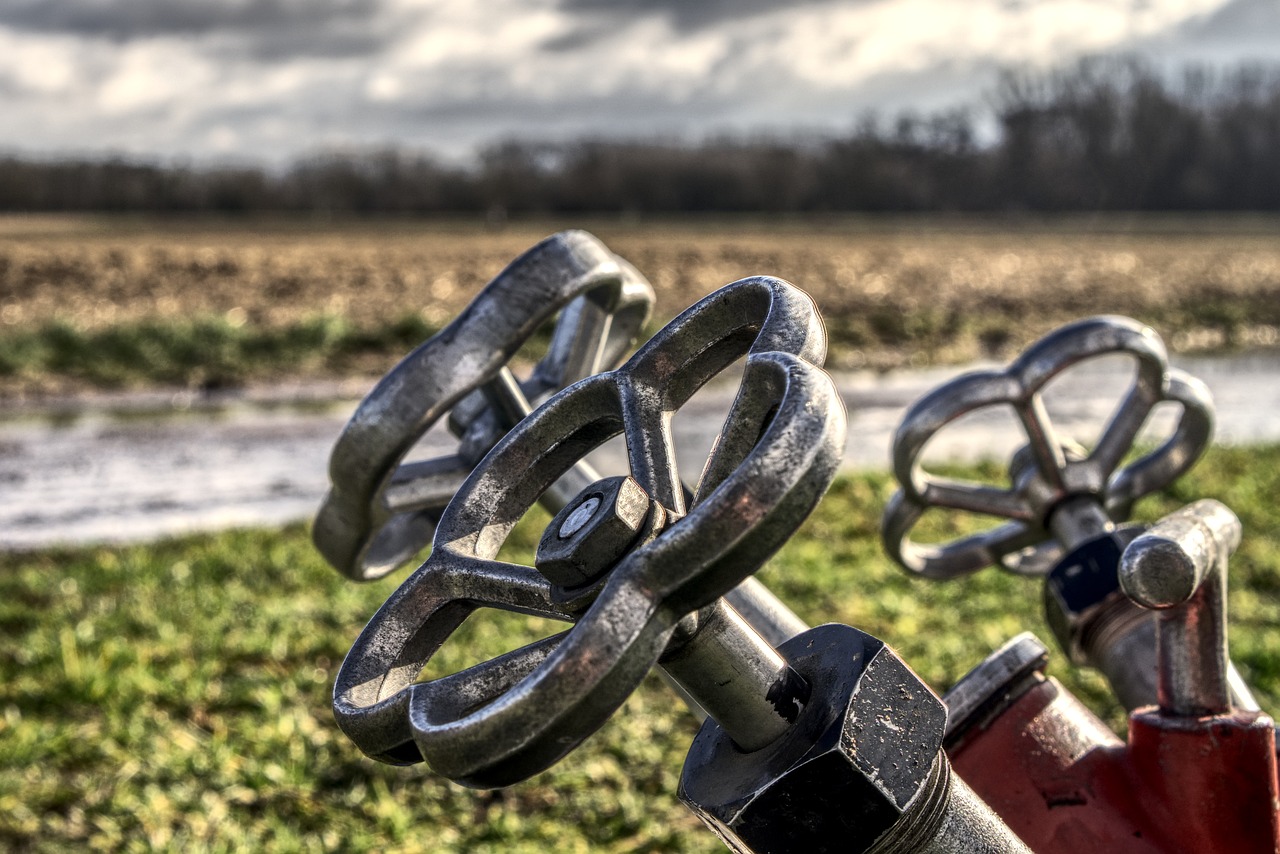 曹縣閩江路最新動(dòng)態(tài)，發(fā)展與變遷的脈絡(luò)揭秘