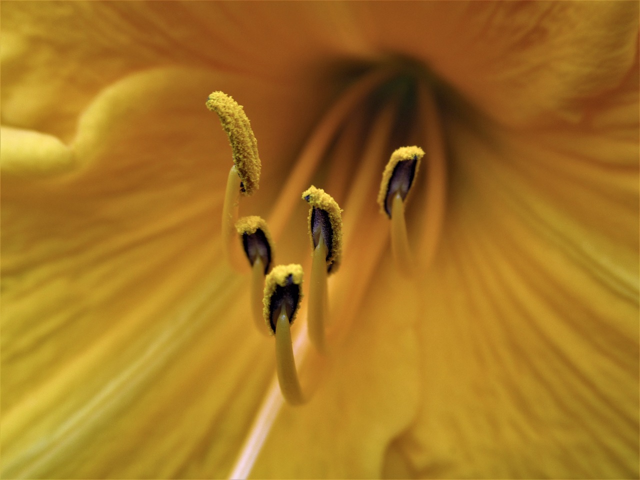 南充新豪天地最新動態(tài)解析與消息速遞