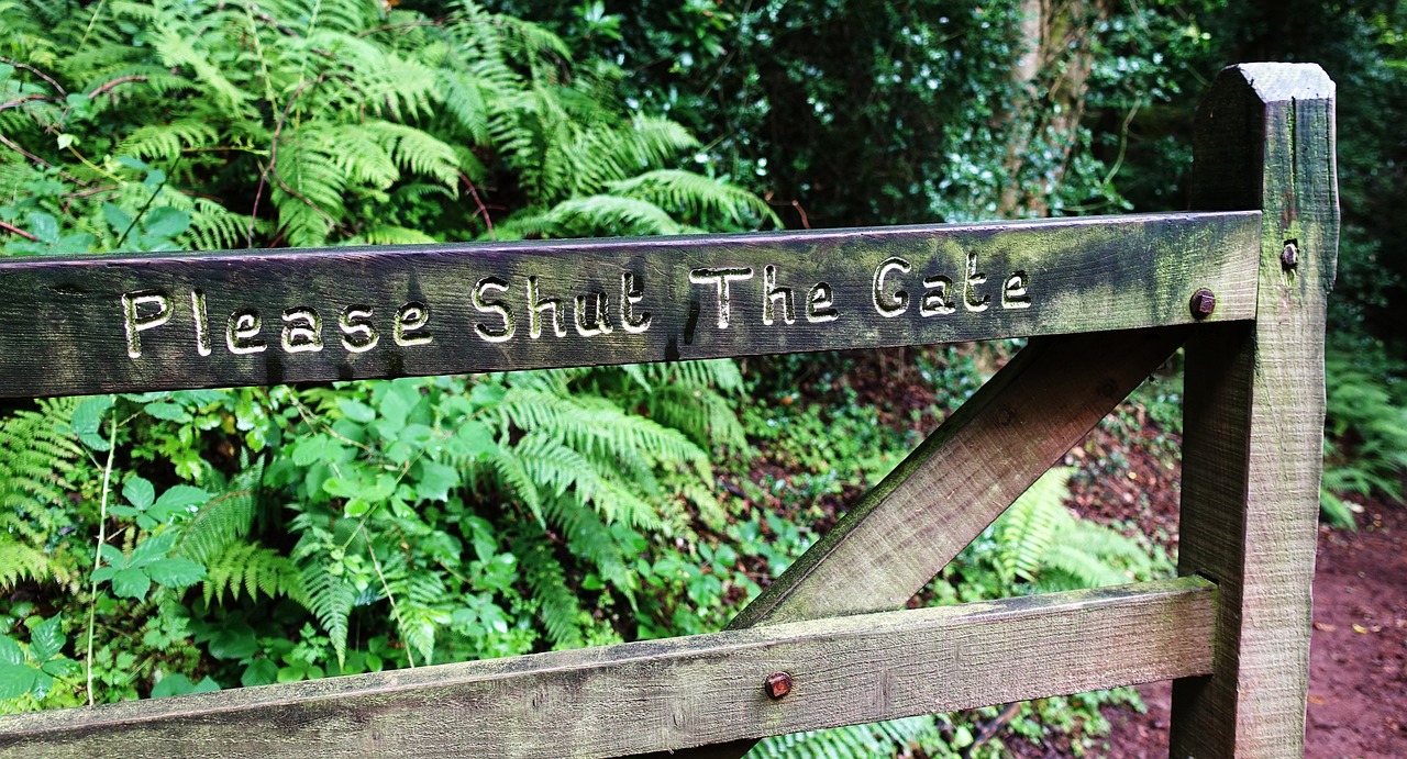 今年第8號臺風(fēng)最新動(dòng)態(tài)與消息關(guān)注