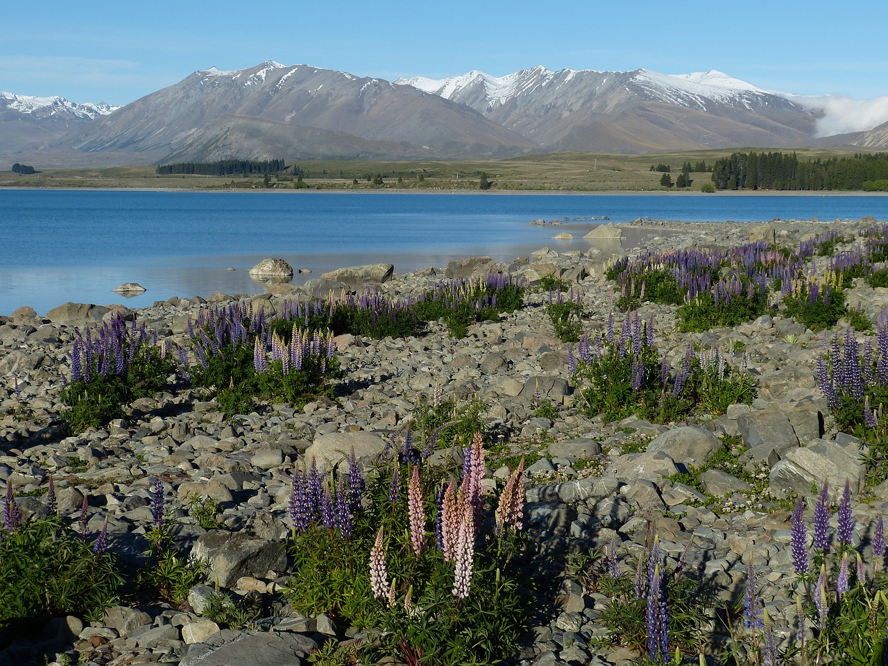 啾咪一口 第20頁(yè)