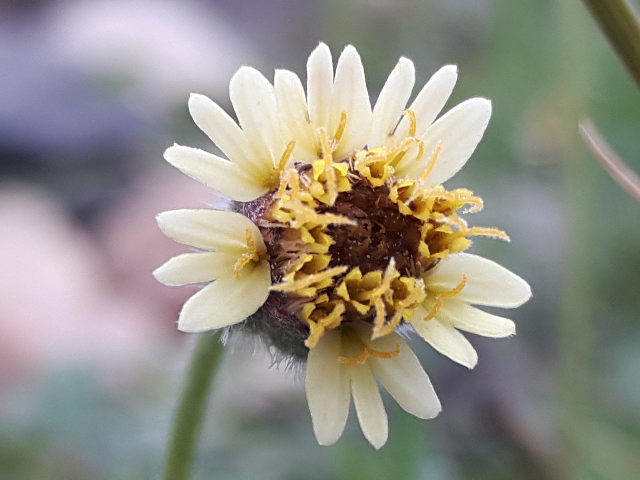 沾會高速公路最新動態(tài)，建設(shè)進展、影響及未來規(guī)劃揭秘