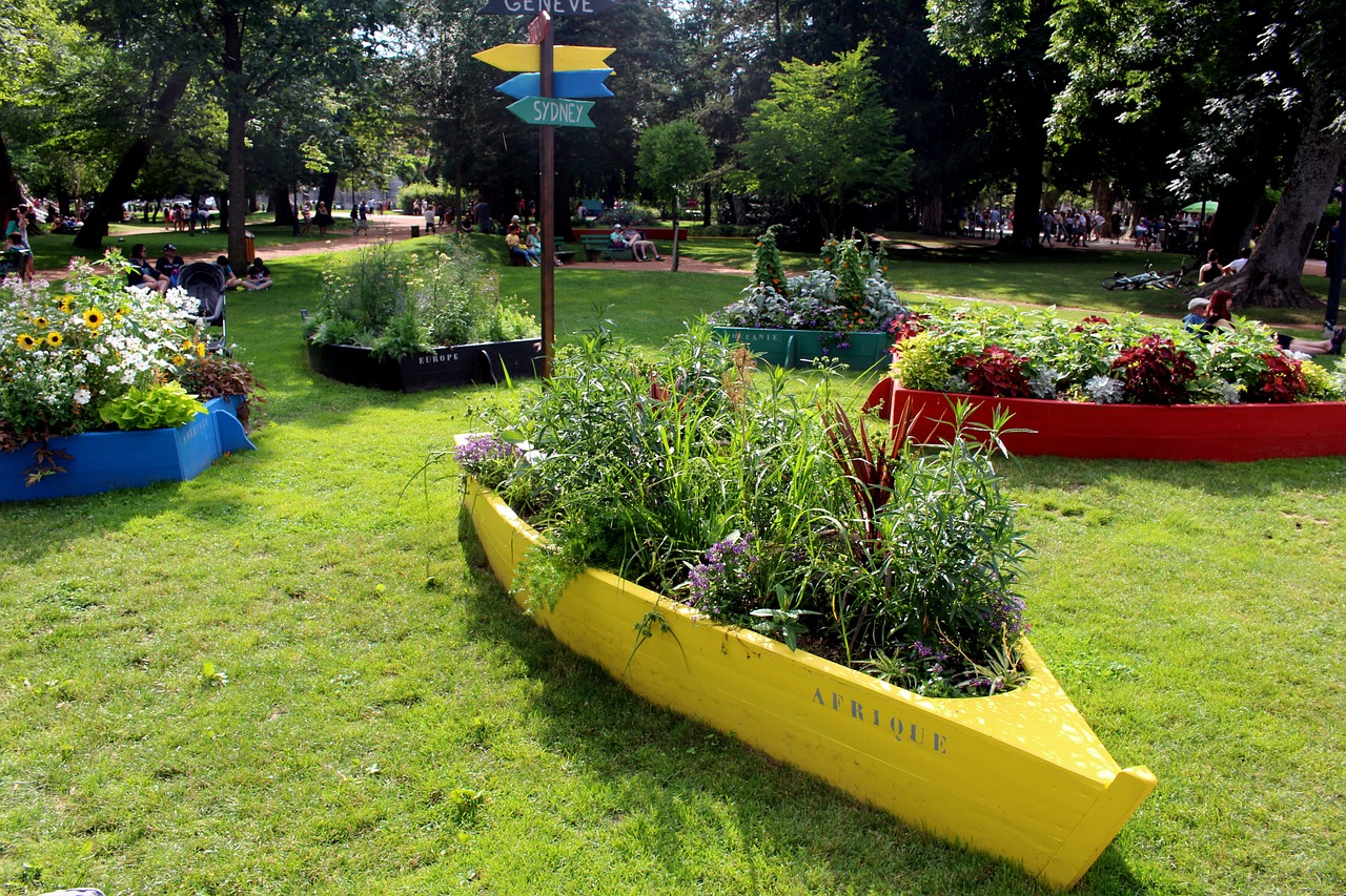 滄州龍岸清華最新進(jìn)展，蓬勃發(fā)展的綜合社區(qū)展望