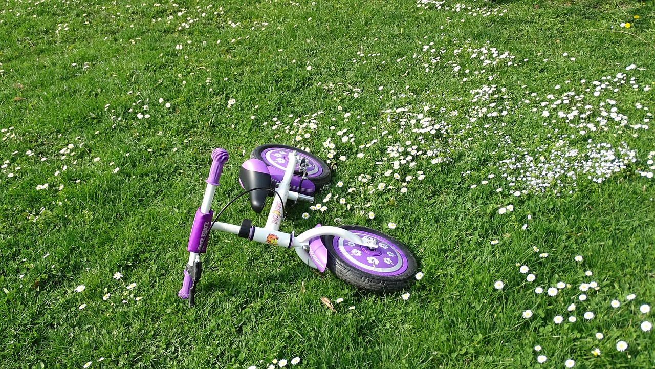 2024年11月 第44頁