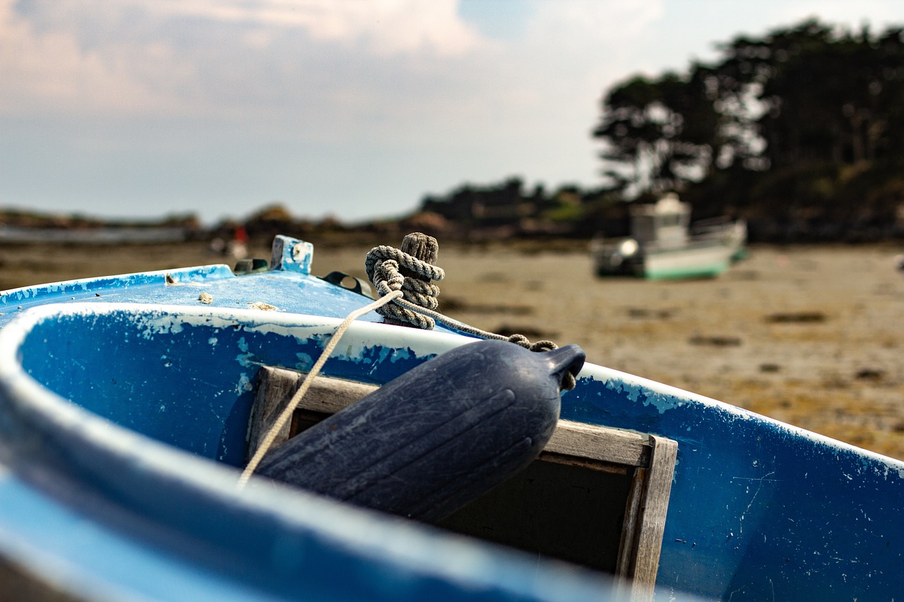 敦煌疫情防控最新政策研究及實施影響分析，最新動態(tài)與探討