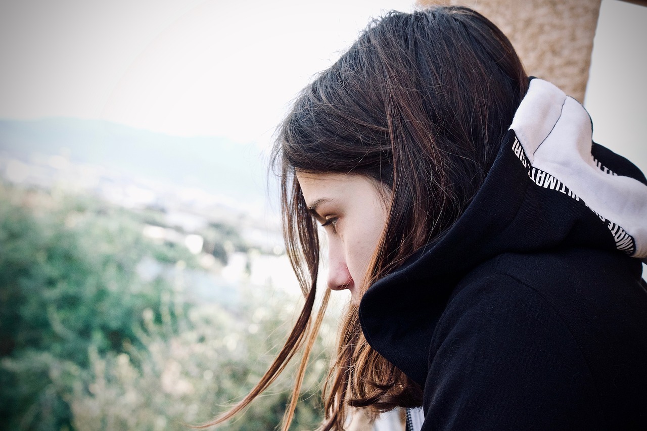 勝稼紅星嘉園最新消息及前景展望，動(dòng)態(tài)更新與未來(lái)發(fā)展展望