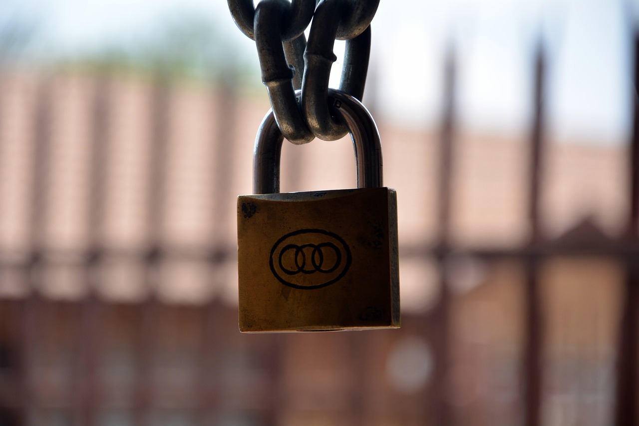 風臺小魚網(wǎng)最新動態(tài)全面解析