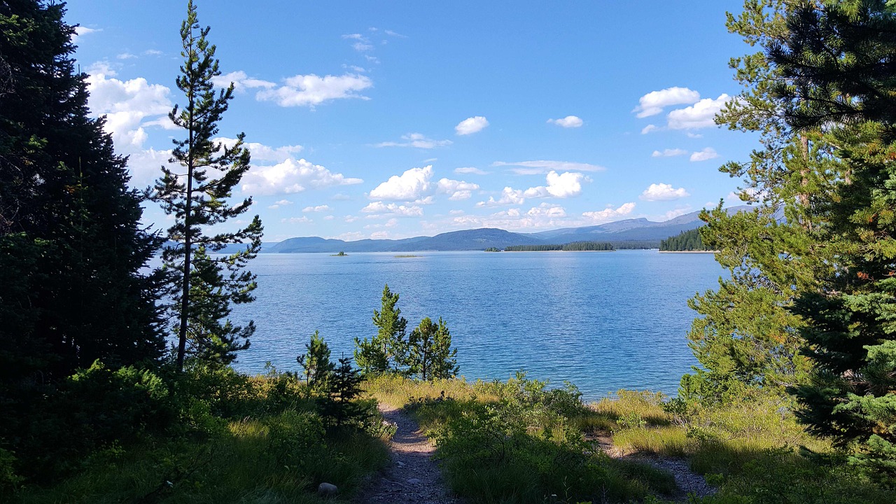 太原公園美地最新動(dòng)態(tài)，生態(tài)繁榮與持續(xù)發(fā)展的融合杰作