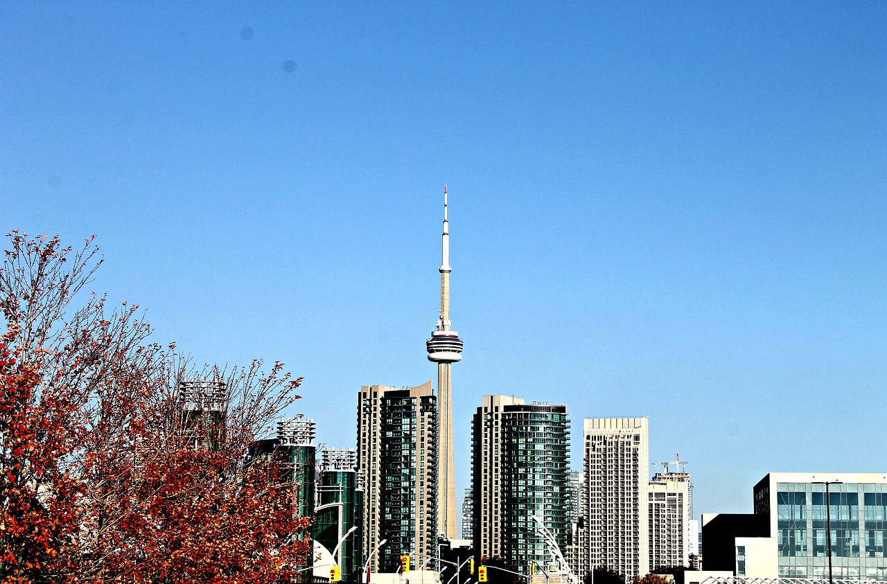藁城區(qū)興華路規(guī)劃更新，打造現(xiàn)代化城市新名片，重塑區(qū)域面貌