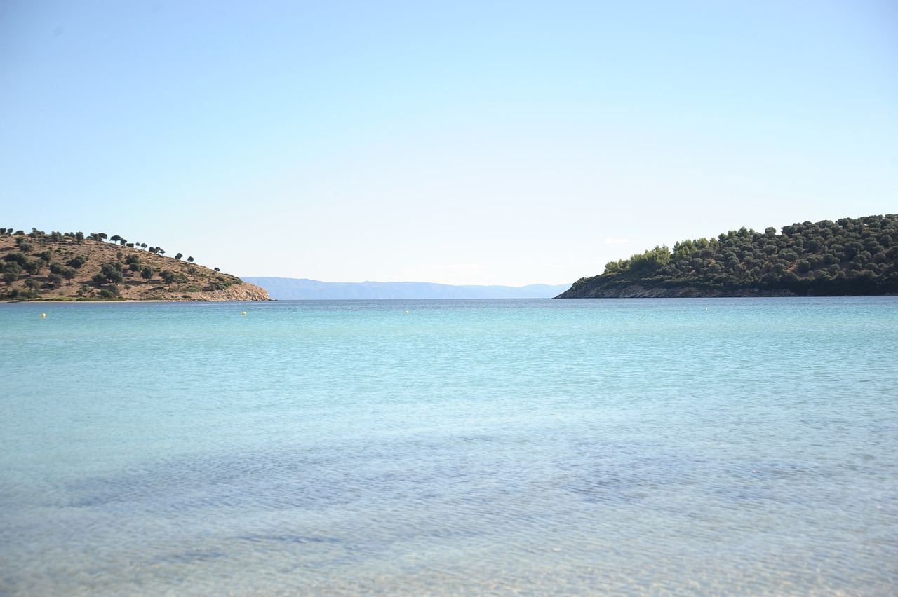 2025年1月 第132頁