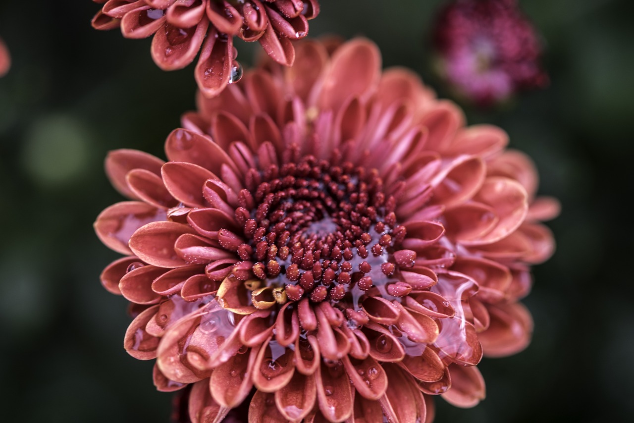 吉林市杜麗華最新動態(tài)，聚焦個人成就與社會貢獻的影響之旅