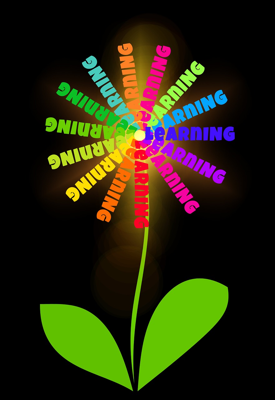 十六彩比賽，技藝與智慧的巔峰對決