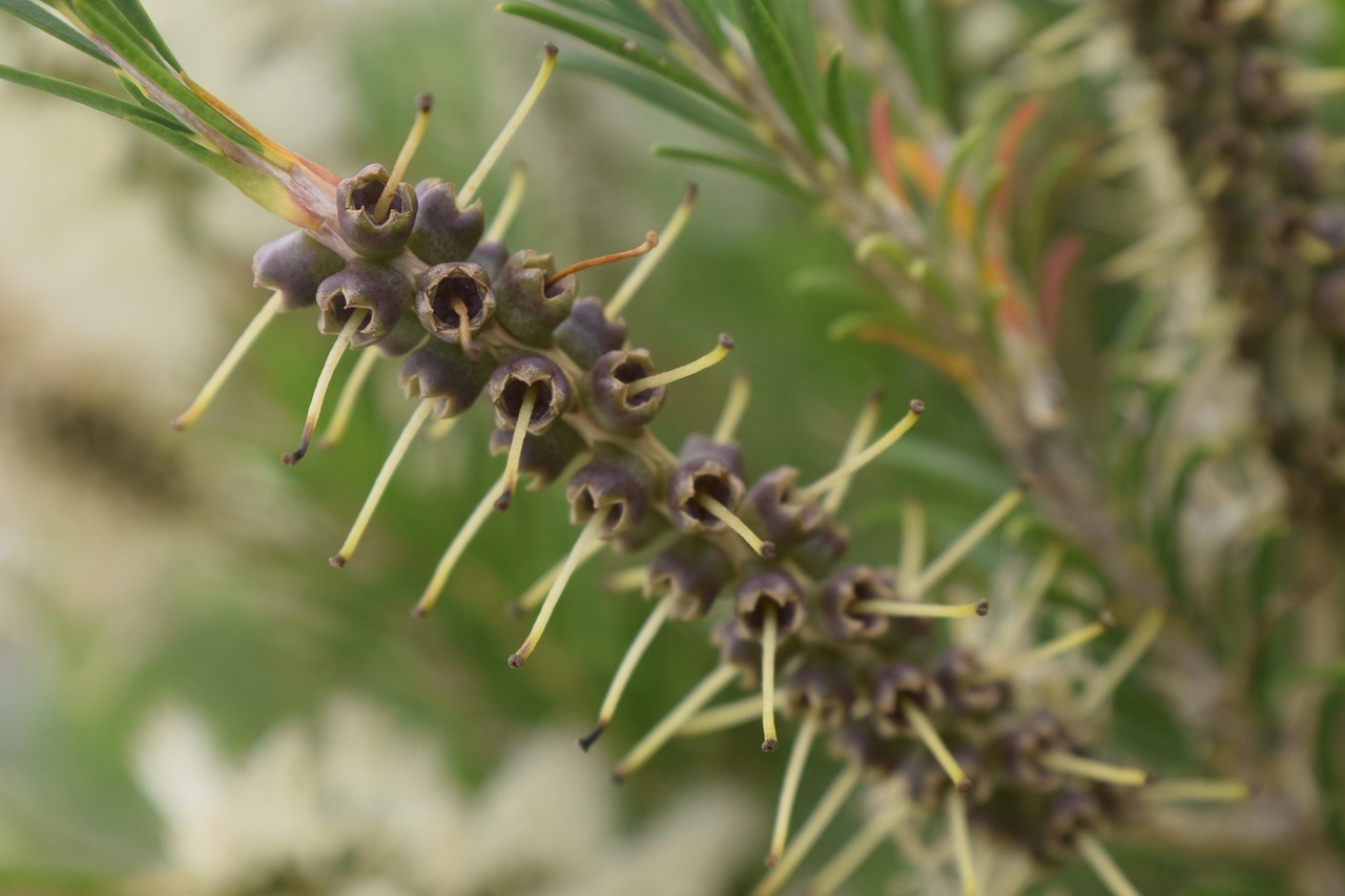 廣州地鐵邁向智能化、綠色化的新征程最新動(dòng)態(tài)