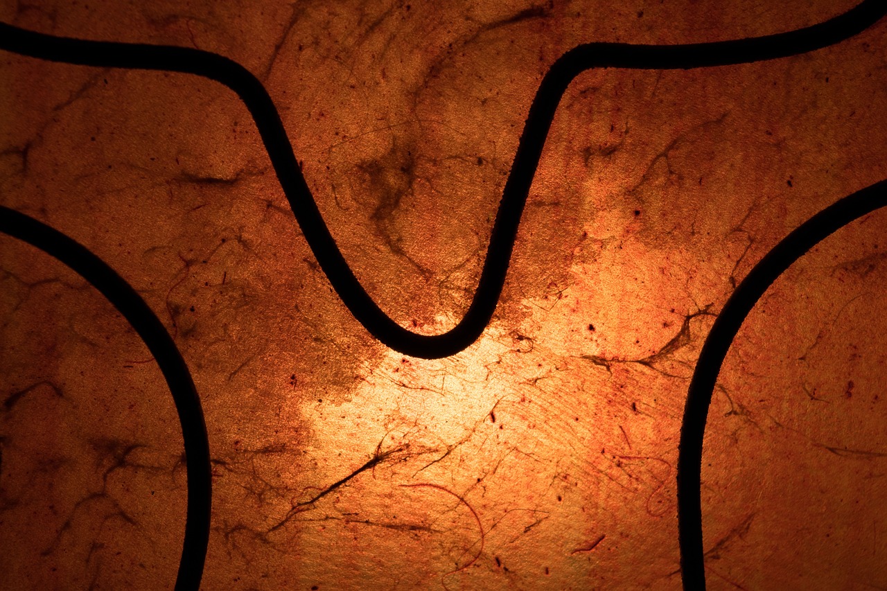 紅蜻蜓股價(jià)最新動態(tài)及分析摘要