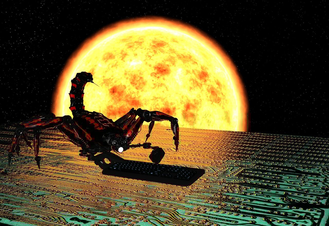 WAN最新資訊，科技、發(fā)展與未來趨勢的深度解析展望